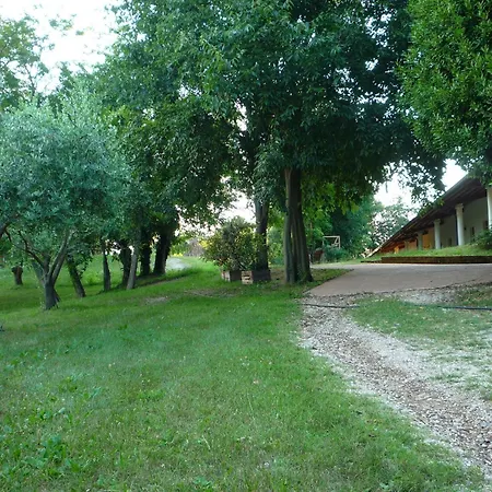 Lupo Bianco